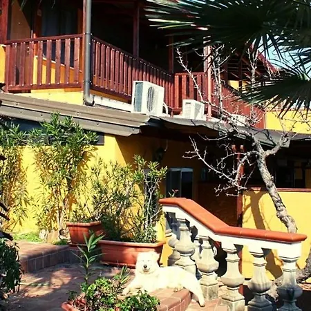 Villacelest *